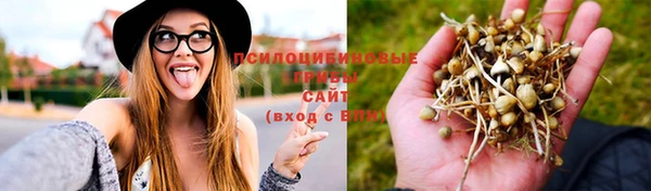 ПСИЛОЦИБИНОВЫЕ ГРИБЫ Алексин