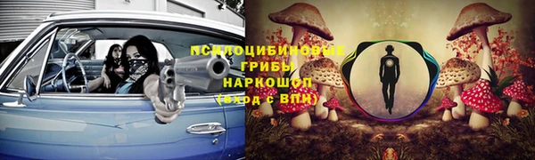 молекула духа Алзамай